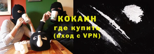 ПСИЛОЦИБИНОВЫЕ ГРИБЫ Осинники