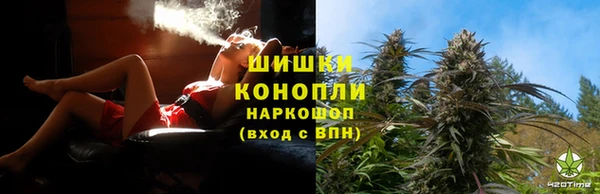 ПСИЛОЦИБИНОВЫЕ ГРИБЫ Осинники