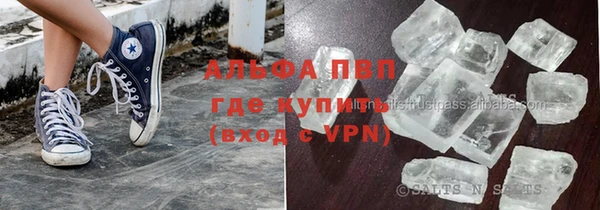 ПСИЛОЦИБИНОВЫЕ ГРИБЫ Осинники