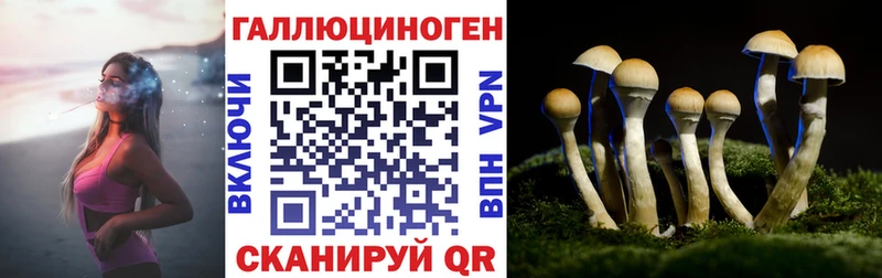 Галлюциногенные грибы мицелий  Тбилисская 